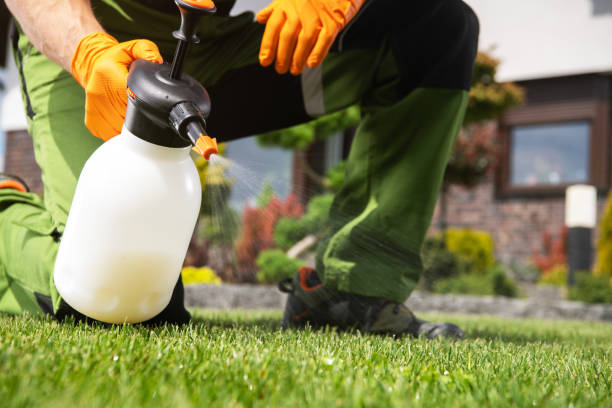 Best Pest Control Near Me in Boiling Springs, SC