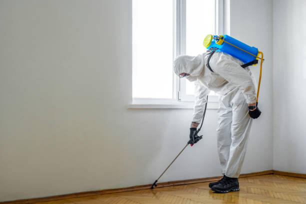 Pest Prevention Services in Boiling Springs, SC