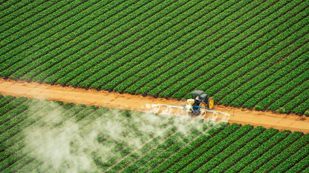 Best Pest Inspection Near Me  in Boiling Springs, SC