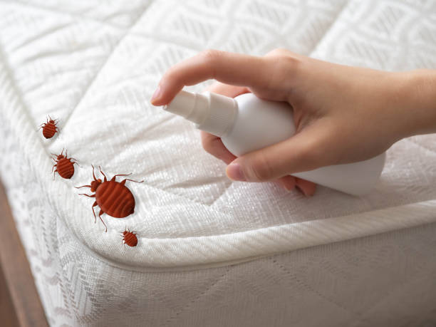 Best Pest Prevention Services  in Boiling Springs, SC