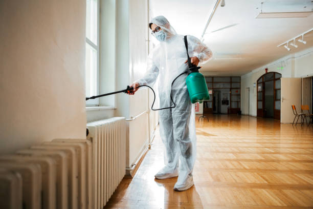 Best Insect Control  in Boiling Springs, SC