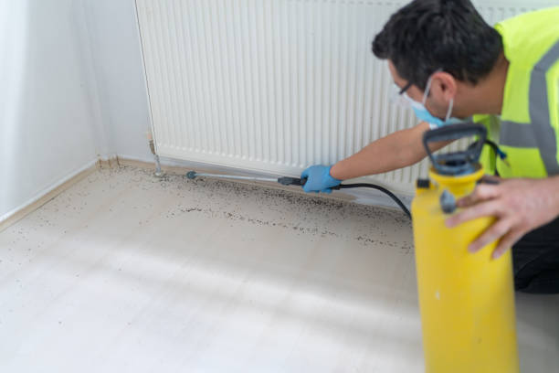 Best Pest Control for Businesses  in Boiling Springs, SC