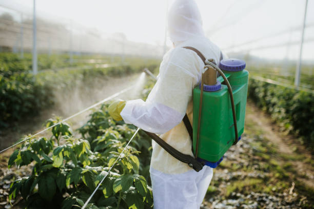 Pest Control Cost in Boiling Springs, SC